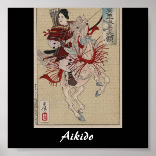 Aikido-Japaner-Kampfkunst Poster