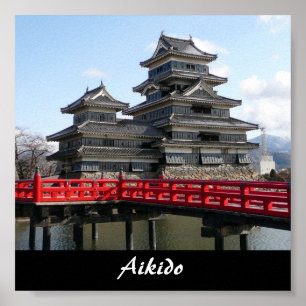 Aikido-Japaner-Kampfkunst Poster