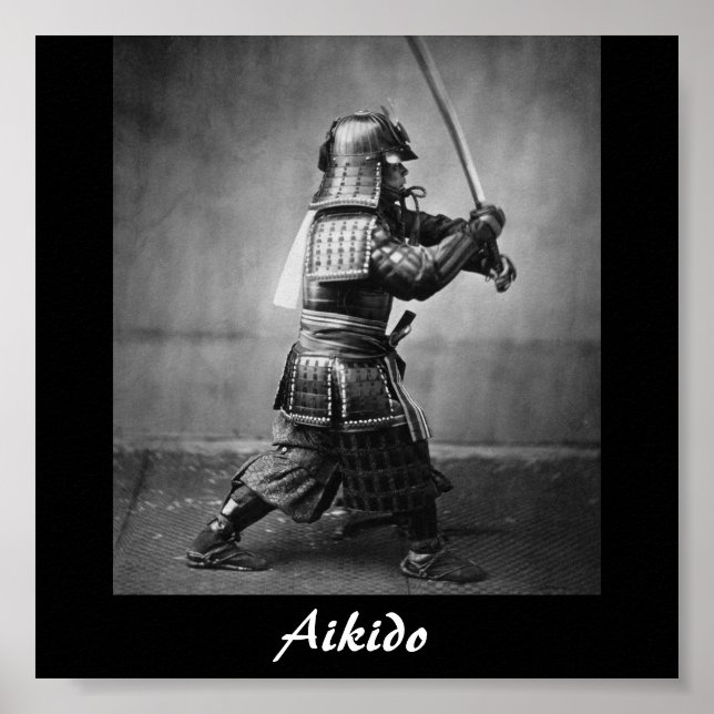 Aikido Japanese Martial Art Poster (Vorne)