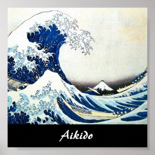 Aikido Japanese Martial Art Poster