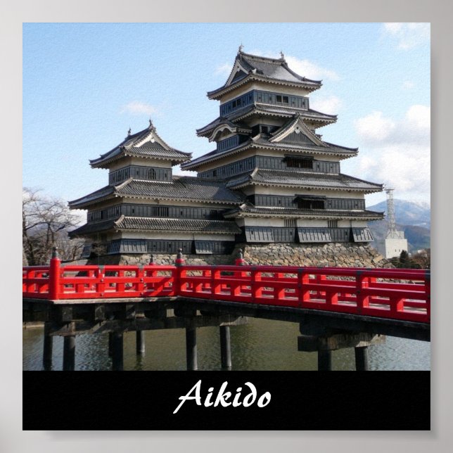Aikido Japanese Martial Art Poster (Vorne)