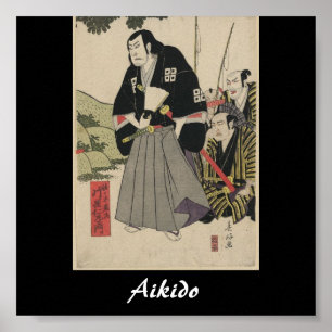 Aikido Japanese Martial Art Poster