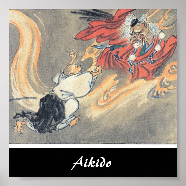 Aikido Japanese Martial Art Poster (Vorne)