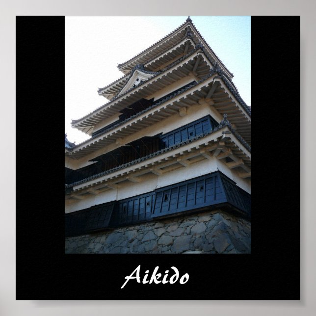 Aikido Japanese Martial Art Poster (Vorne)