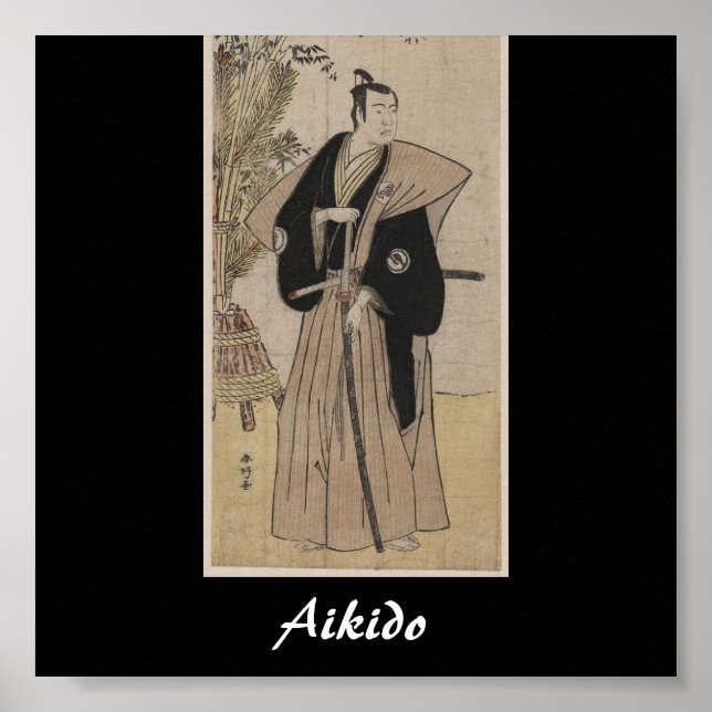 Aikido Japanese Martial Art Poster (Vorne)