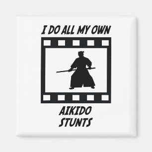 Aikido Stunts Magnet