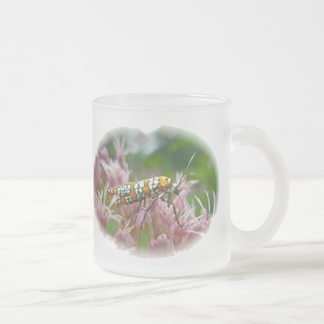 Ailanthus Web Worm Moth auf Ironweed Mattglastasse (Rechts)