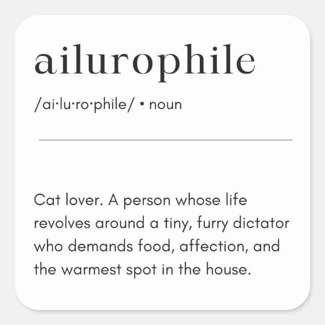 Ailurophile Definition - Katze Lover Quadratischer Aufkleber (Vorderseite)