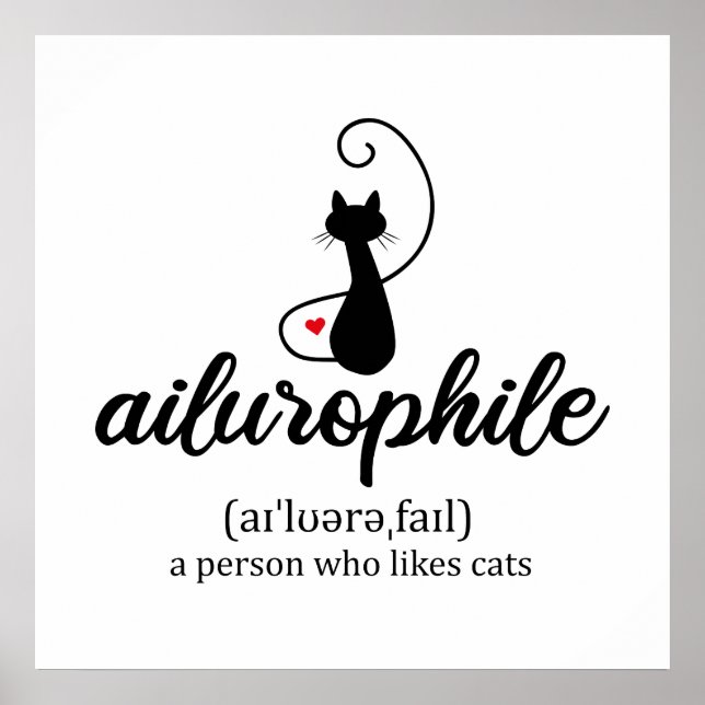 Ailurophile Poster (Vorne)