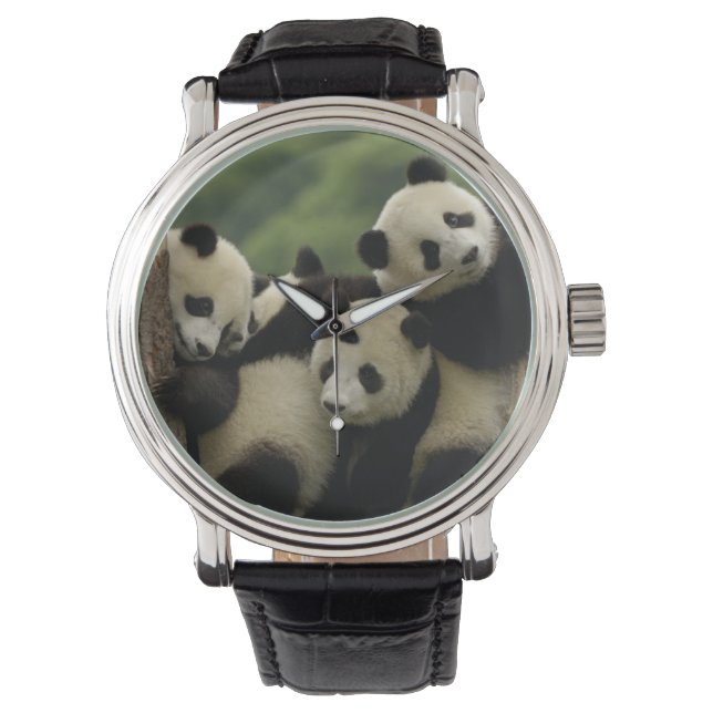 Ailuropoda melanoleuca) armbanduhr (Vorderseite)