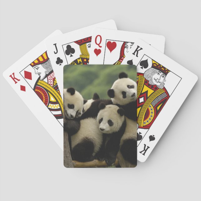 Ailuropoda melanoleuca) spielkarten (Rückseite)