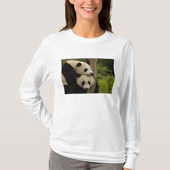 Ailuropoda melanoleuca) T-Shirt (Vorderseite)