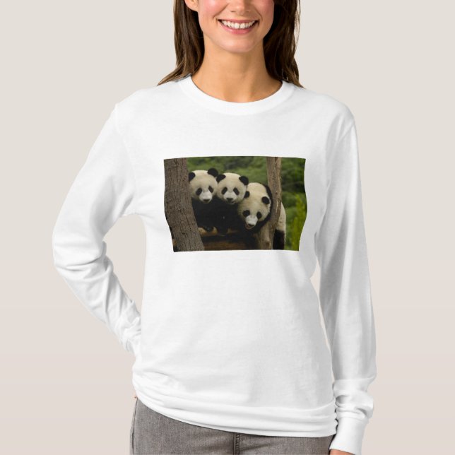 Ailuropoda melanoleuca) T-Shirt (Vorderseite)
