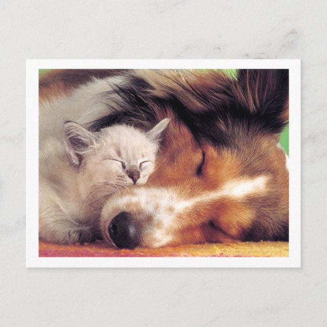 Ain't Liebe Grand Postkarte (Vorderseite)