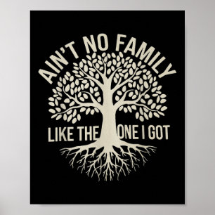 Aint No Family wie die, die ich Got Funny Family R Poster