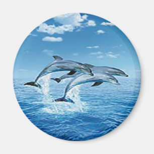 Air Delphins Magnet