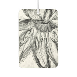 Air Freshener Autolufterfrischer