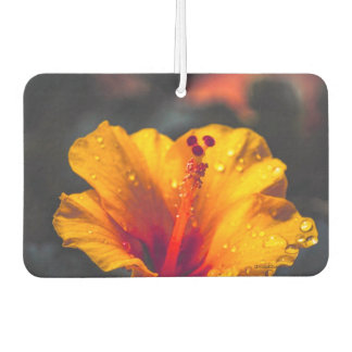 Air Freshener Blume Autolufterfrischer