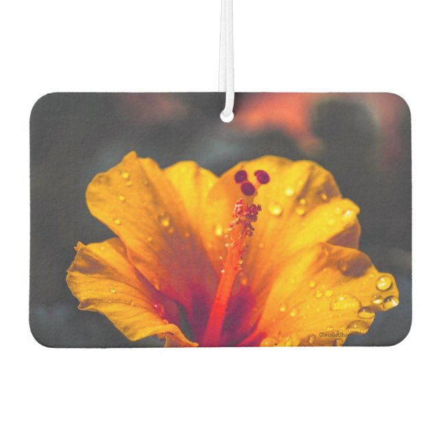 Air Freshener Blume Autolufterfrischer (Vorderseite)