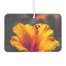 Air Freshener Blume