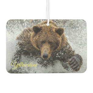 Air Freshner-Yellowstone Bear Autolufterfrischer