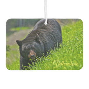 Air Freshner-Yellowstone Bear Autolufterfrischer