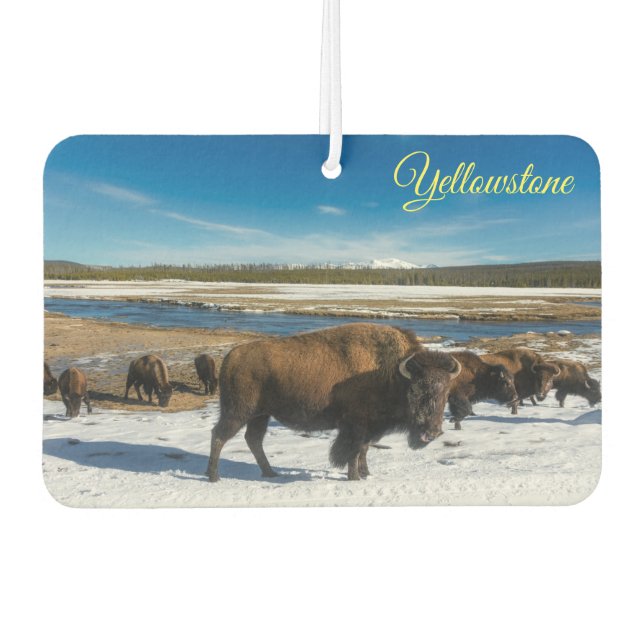 Air Freshner-Yellowstone Buffalo Autolufterfrischer (Vorderseite)