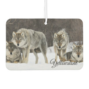 Air Freshner-Yellowstone Wolves Autolufterfrischer