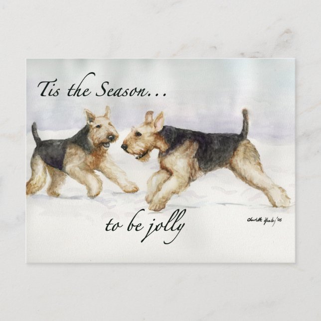 Airedale Das Schloss von Seson Feiertagspostkarte (Vorderseite)