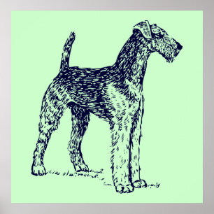 Airedale-Hund Poster