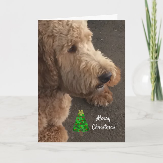 Airedale Hunde Weihnachtsgrüße Feiertagskarte (Vorderseite)