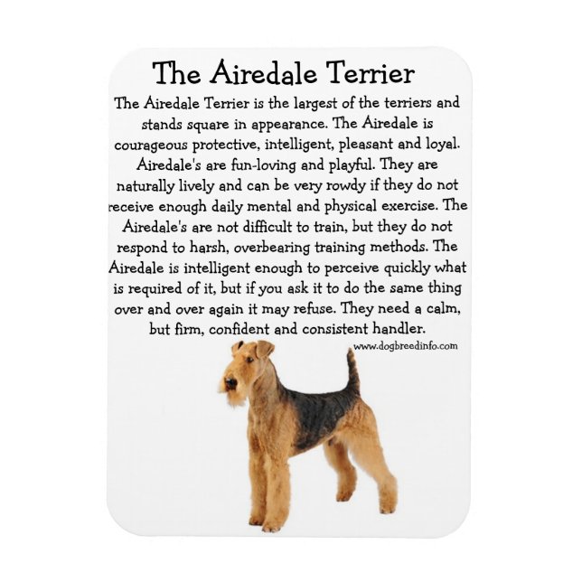 Airedale Info Magnet (Vertikal)