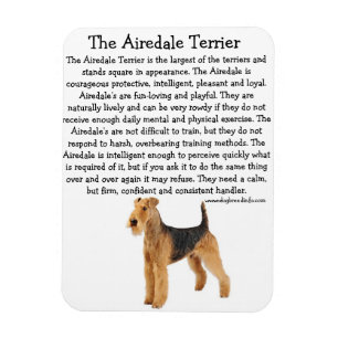 Airedale-Info-Magnet Magnet
