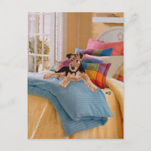 Airedale-, Lakeland- oder Welsh-Terrier-Welpe Postkarte