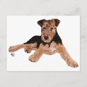 Airedale, Lakeland, Welsh Terrier Welpe Postkarte
