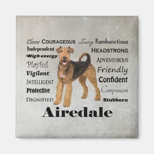 Airedale Magnet (Vorne)