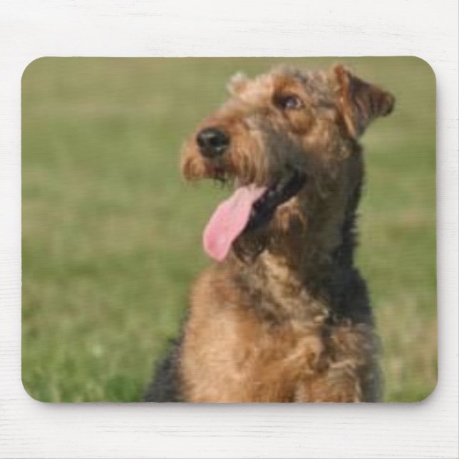 Airedale Mousepad (Vorne)
