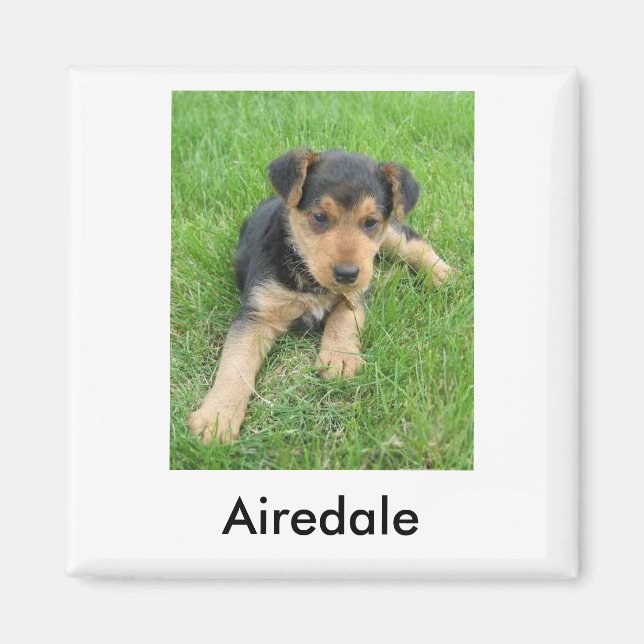 Airedale Puppy Magnet (Vorne)