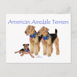 Airedale Terrier Amerikanische Flagge Postkarte
