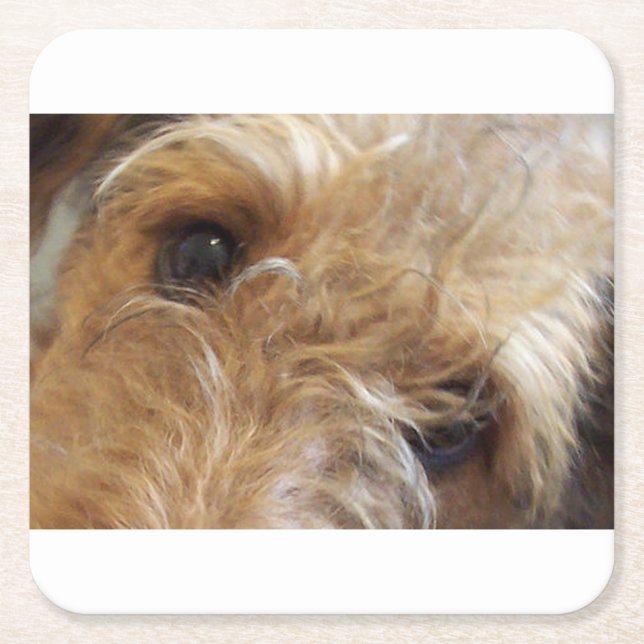 airedale Terrier Augen Rechteckiger Pappuntersetzer (Vorderseite)
