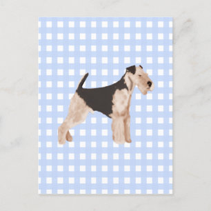 Airedale Terrier Blue Gingham Postkarte