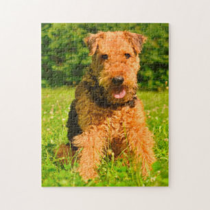 Airedale Terrier Dog. Puzzle
