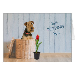 Airedale Terrier Dog Wicker Basket Geburtstagskart