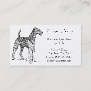 Airedale Terrier Elegante Zeichnend Hund Visitenkarte