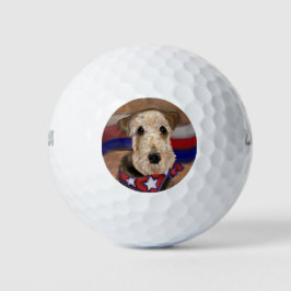 AIREDALE TERRIER GOLFBALL
