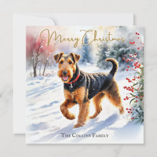 Airedale Terrier Hund im Schneewinter Weihnachten