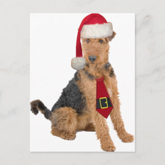 Airedale-Terrier in der Weihnachtsmannmütze Feiertagspostkarte