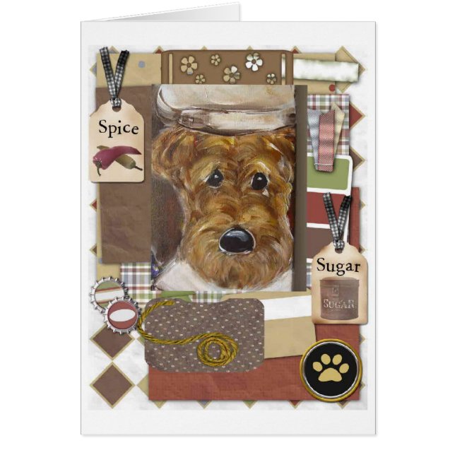 Airedale Terrier Koch (Vorne)