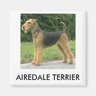 Airedale Terrier Magnet