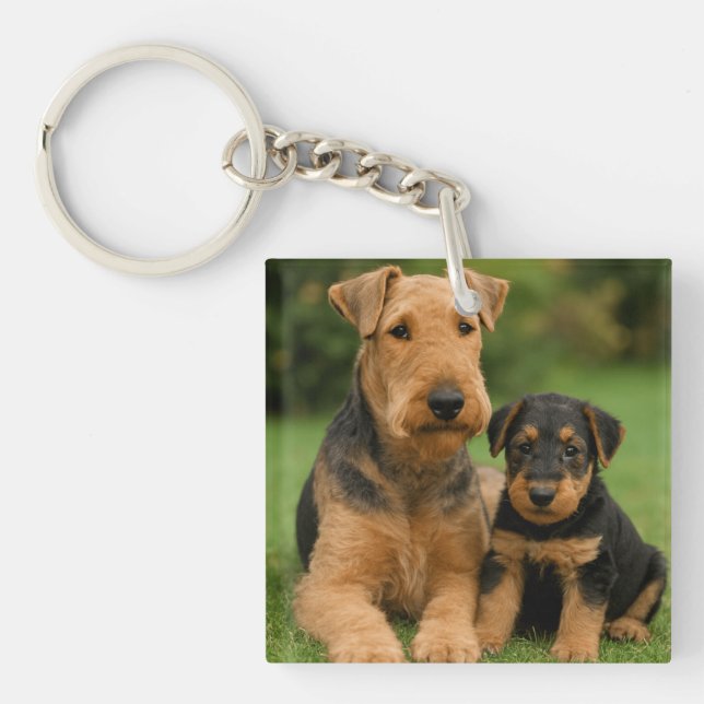 Airedale Terrier mit Welpe Schlüsselanhänger (Vorderseite)